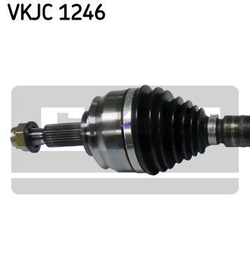 Cardan SKF VKJC 1246